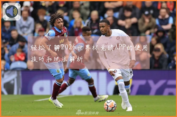 轻松了解2026世界杯竞猜APP的使用技巧和玩法解析
