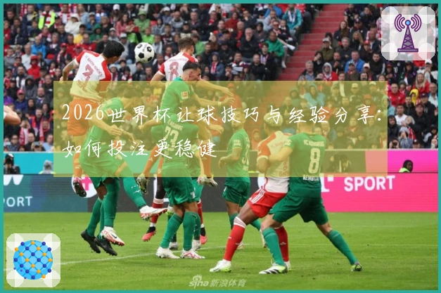 2026世界杯让球技巧与经验分享：如何投注更稳健