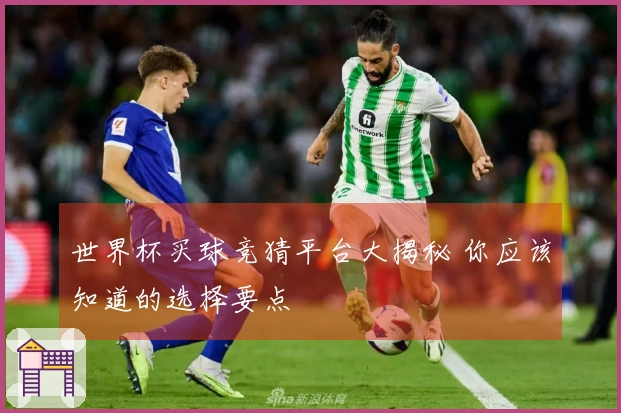 世界杯买球竞猜平台大揭秘 你应该知道的选择要点