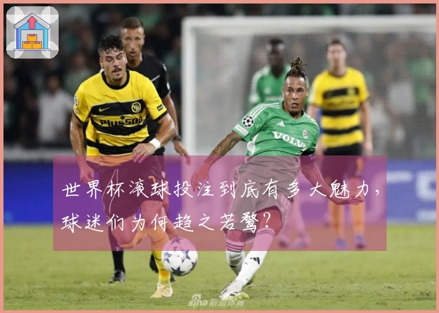 世界杯滚球投注到底有多大魅力，球迷们为何趋之若鹜？