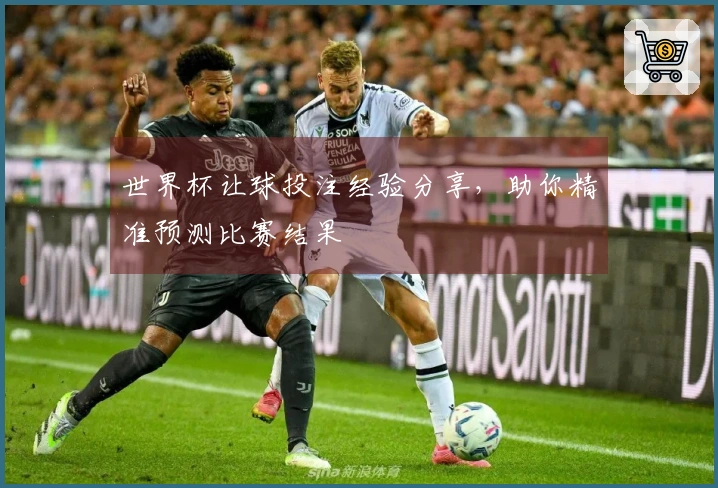 世界杯让球投注经验分享，助你精准预测比赛结果