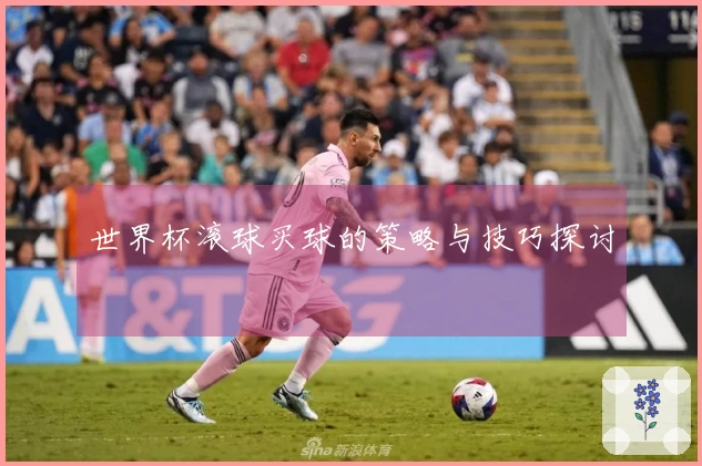 世界杯滚球买球的策略与技巧探讨